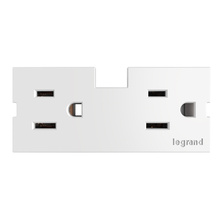 adorne® Outlet Module 15A