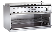 Kitchen Salamander
