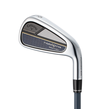 패러다임 맥스 패스트 아이언 남성용