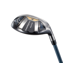 패러다임 맥스 패스트 하이브리드