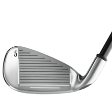 Big Bertha Irons (2002)