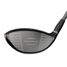 엘리트 샌드스톰 드라이버