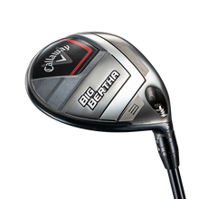 빅버사 페어웨이우드