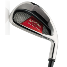 Big Bertha Irons (2008)