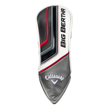 빅버사 하이브리드