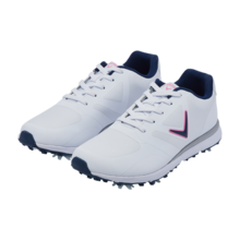 비스타 [고급 슈케이스 증정]