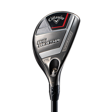 빅버사 하이브리드