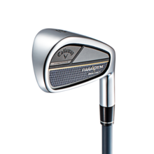 패러다임 맥스 패스트 아이언 남성용