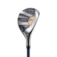 패러다임 맥스 패스트 하이브리드