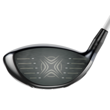 Big Bertha Alpha 815 Driver