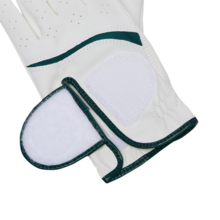 뉴 베어 우먼스