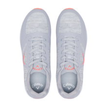 비스타 [고급 슈케이스 증정]