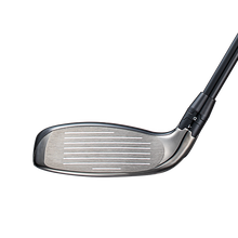 빅버사 하이브리드