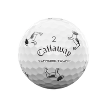 [온라인 단독] 크롬투어 트루비스 스몰독 에디션: 프렌치 그레이