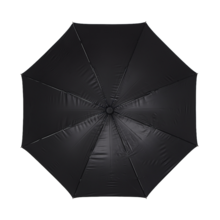 자동 싱글 레인 캐노피 62인치