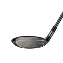 에픽 맥스 페어웨이우드