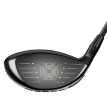 Great Big Bertha Driver