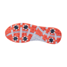 비스타 [고급 슈케이스 증정]