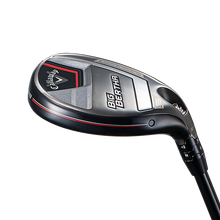 빅버사 하이브리드