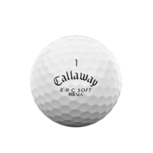 ERC 소프트 레바 23