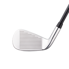 패러다임 Ai Smoke 아이언