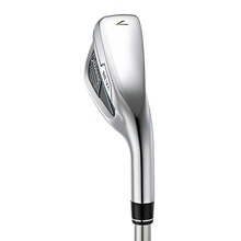 레바 라이즈 여성용 아이언