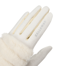 윈터 페어리테일 여성 방한 장갑