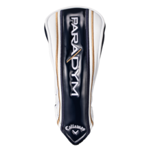 패러다임 맥스 패스트 하이브리드