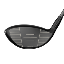 엘리트 나이트에디션 드라이버