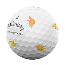 [온라인 단독] 크롬투어 트루비스 다이노소어 에디션