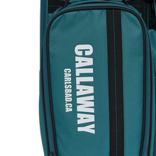 어반 남성 카트백