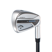 패러다임 Ai Smoke 아이언