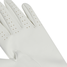 베어 브리즈 여성 양손 장갑 (2장)