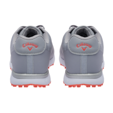 비스타 [고급 슈케이스 증정]