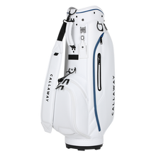 웨이브 남성 카트백