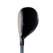 패러다임 맥스 패스트 하이브리드