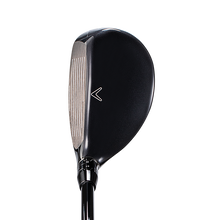 빅버사 하이브리드