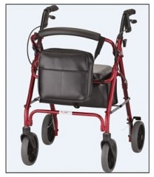 Universal Mobility Bag