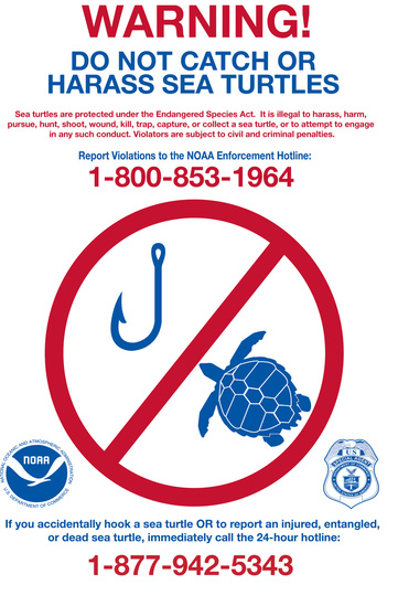 turtlesign_2016.jpg