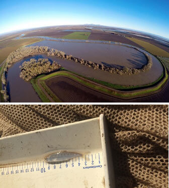 Aerial view of Bullock Bend and image of salmon smolt measuring about 6 centimeters