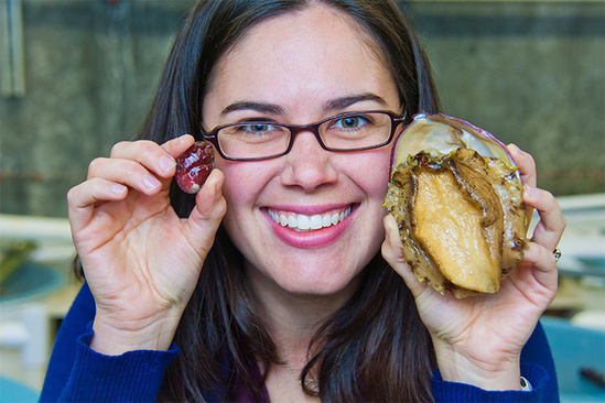 750x500Aquilino_White Abalone_1_Sammy Tillery.jpg