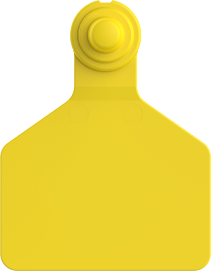 ZTAG F412 YELLOW (F)