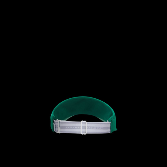 뉴 로고 와이드 바이저