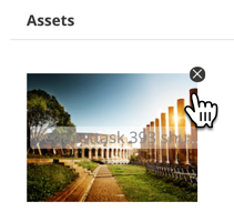 Remove an asset