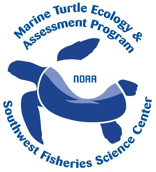 Marine Turtle Ecology and Assessment Logo