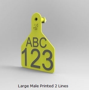 Large Male Printed 2 Lines.jpg