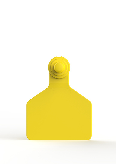 ZTAG F212 YELLOW (F).jpg