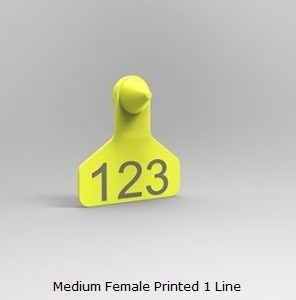 Medium Female Printed 1 Line.jpg