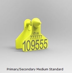 PrimarySecondary Medium Standard.jpg