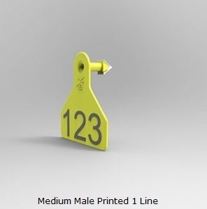 Medium Male Printed 1 Line.jpg